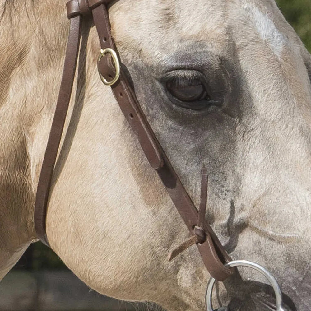 WESTRIDE – Bridle by Franck Perret – Colorado