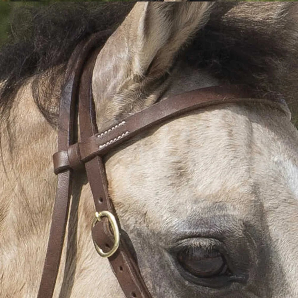 WESTRIDE – Bridle by Franck Perret – Colorado