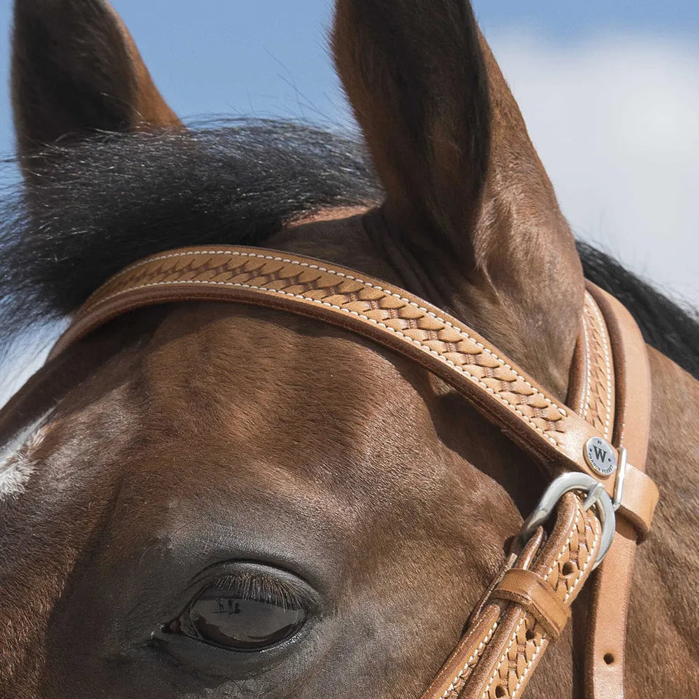 WESTRIDE – Bridle by Franck Perret – Aurora