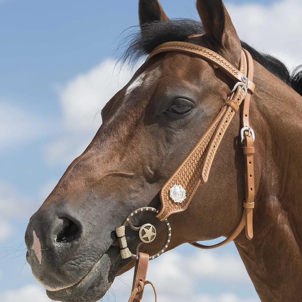 WESTRIDE – Bridle by Franck Perret – Aurora