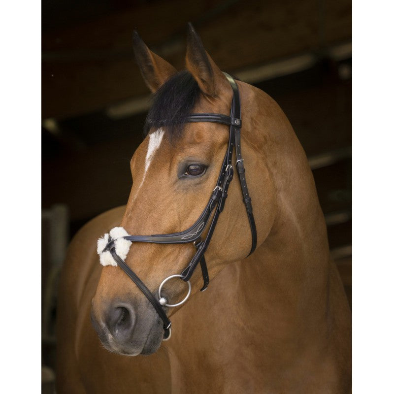 Norton Pro Crossed Noseband Bridle