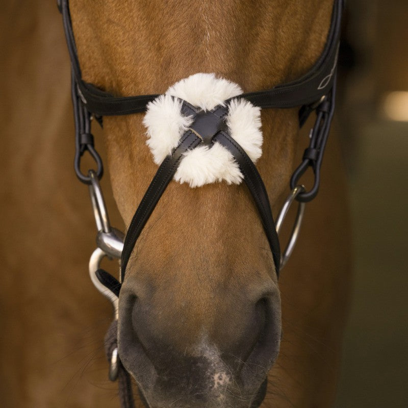 Norton Pro Crossed Noseband Bridle