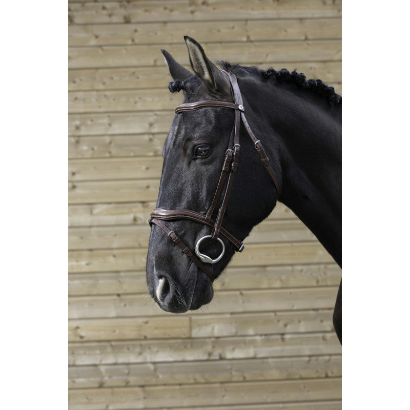 Norton Pro Découpé Bridle