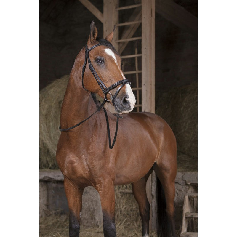 Norton Pro Hunter Reins 16 mm