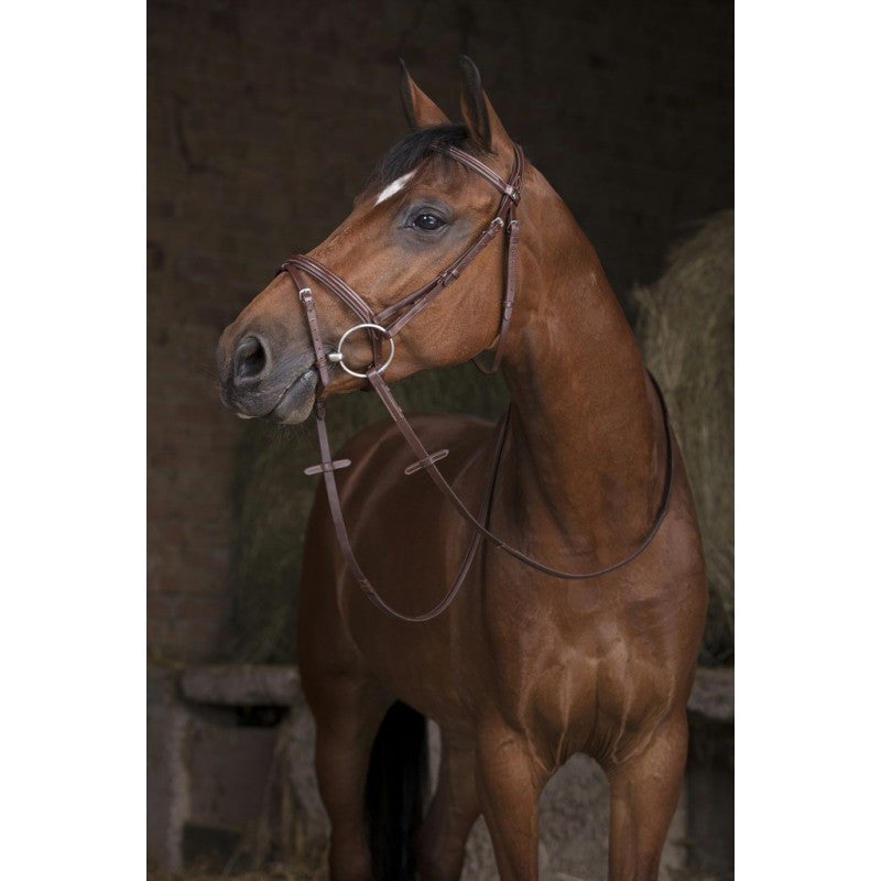 Norton Pro Hunter Reins 16 mm