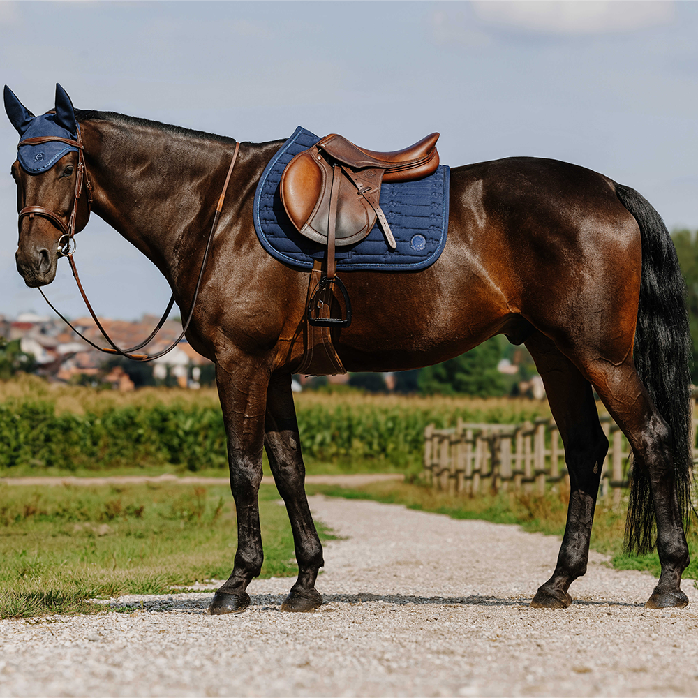 Je t'aime EQUITHÈME - Origin - Saddle Pad