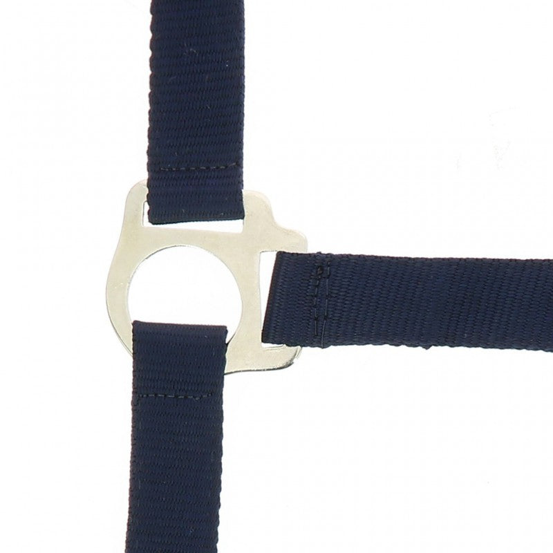 Riding World “Club” Headcollar + Lead Rope