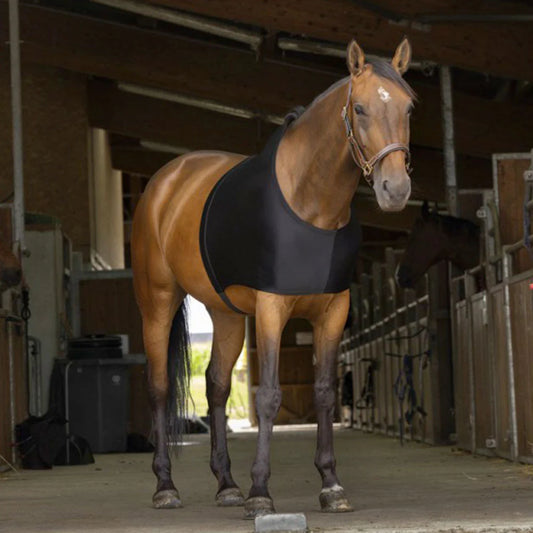 EQUITHÈME Shoulder Protection