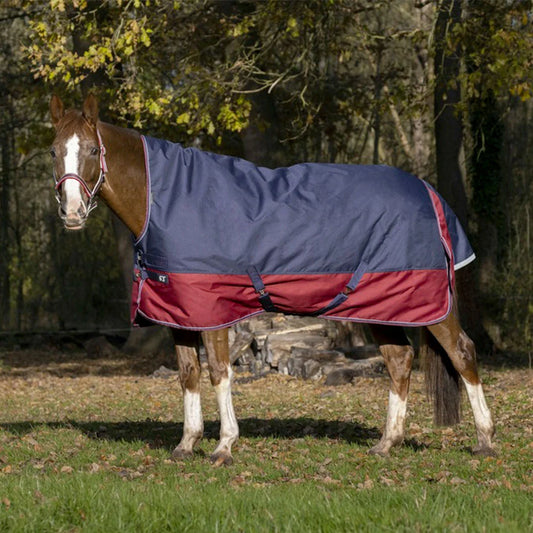 EQUITHÈME Tyrex 1200 D Turnout Rug with high neck