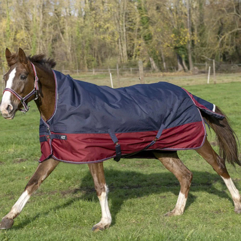 Equitheme Tyrex 1200 D Turnout Rug with high neck