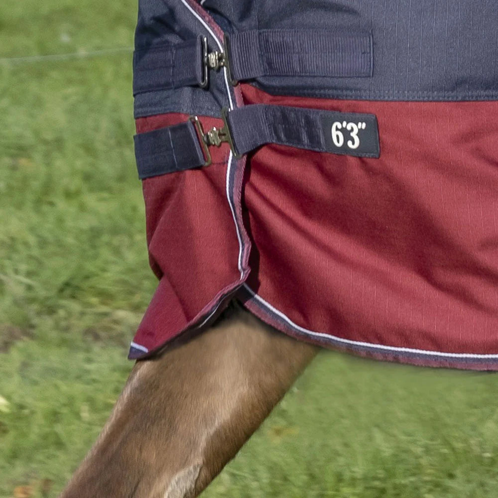 Equitheme Tyrex 1200 D Turnout Rug with high neck