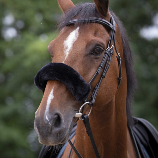 EQUITHÈME – Teddy – Noseband Sleeve