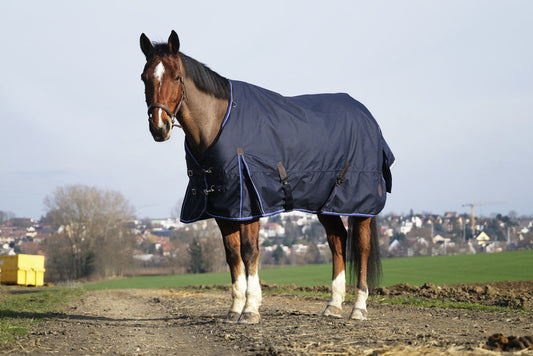 Equitheme Classic 1200D Turnout Rug