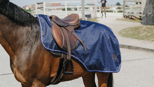 Equitheme Classic 600D Exercise Rug