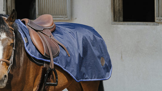 Equitheme Classic 1200D Exercise Rug