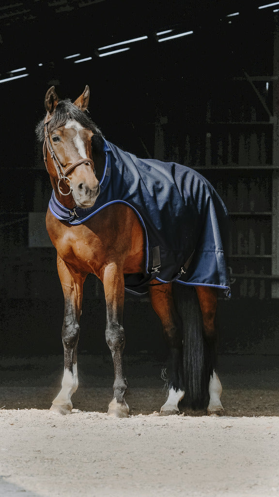 Equitheme Classic 1200D Walker Rug