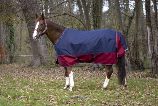 Equitheme Tyrex 1200 D Turnout Rug