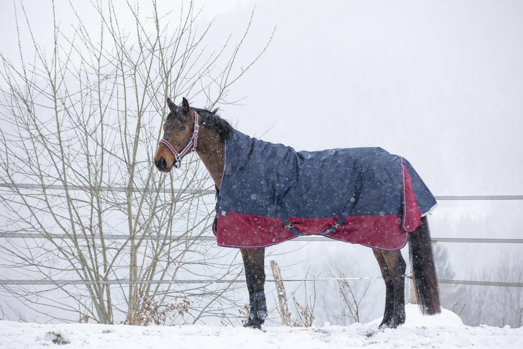 Equitheme Tyrex 1200 D Turnout Rug with high neck