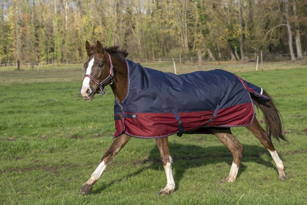 Equitheme Tyrex 1200 D Turnout Rug with high neck