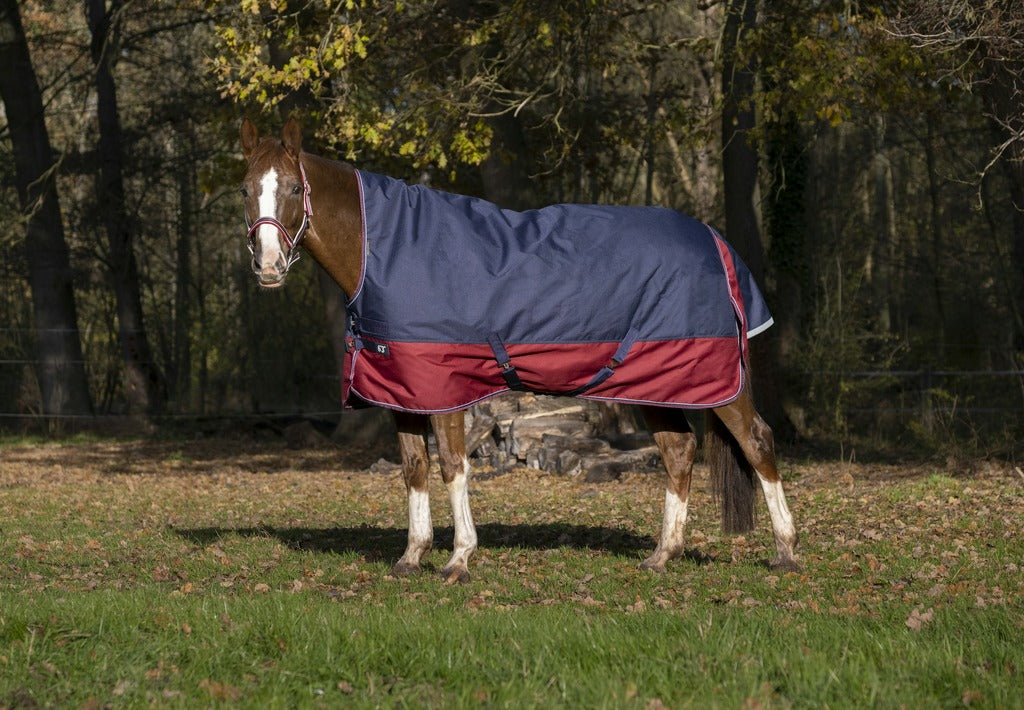 Equitheme Tyrex 1200 D Turnout Rug with high neck