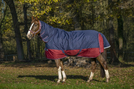 Equitheme Tyrex 1200 D Combo Turnout Rug