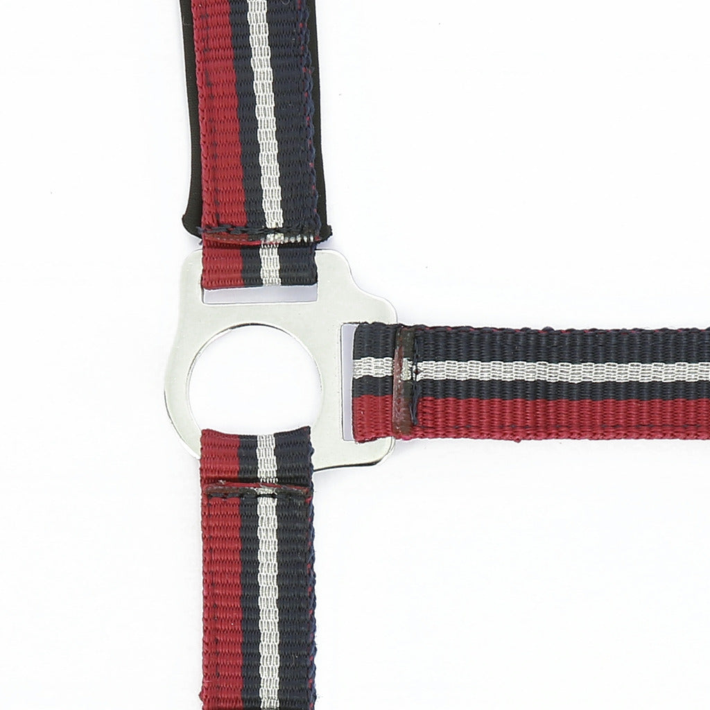 Norton Brillant Headcollar + Lead Rope