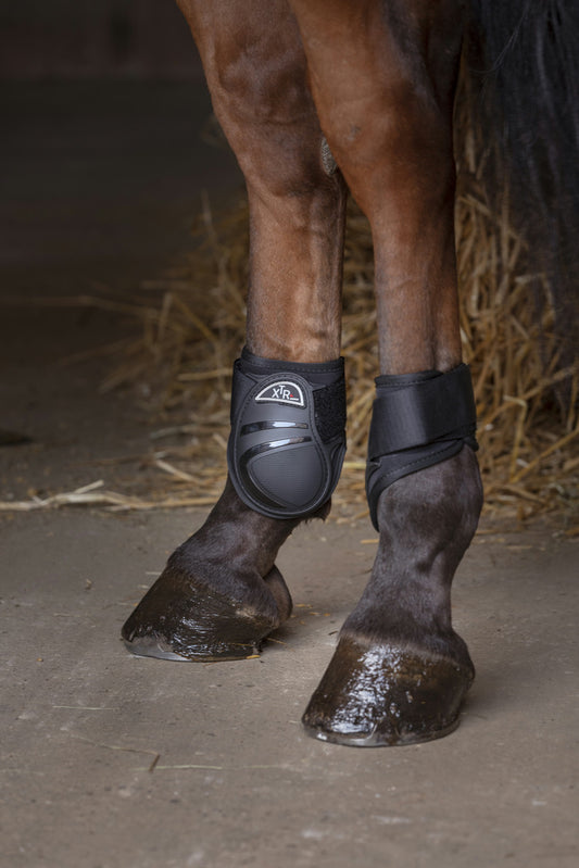 Norton XTR Fetlock Boots