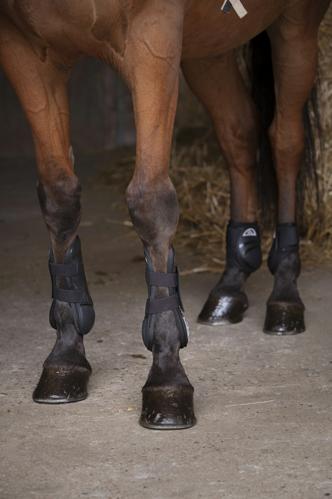 Norton XTR Fetlock Boots