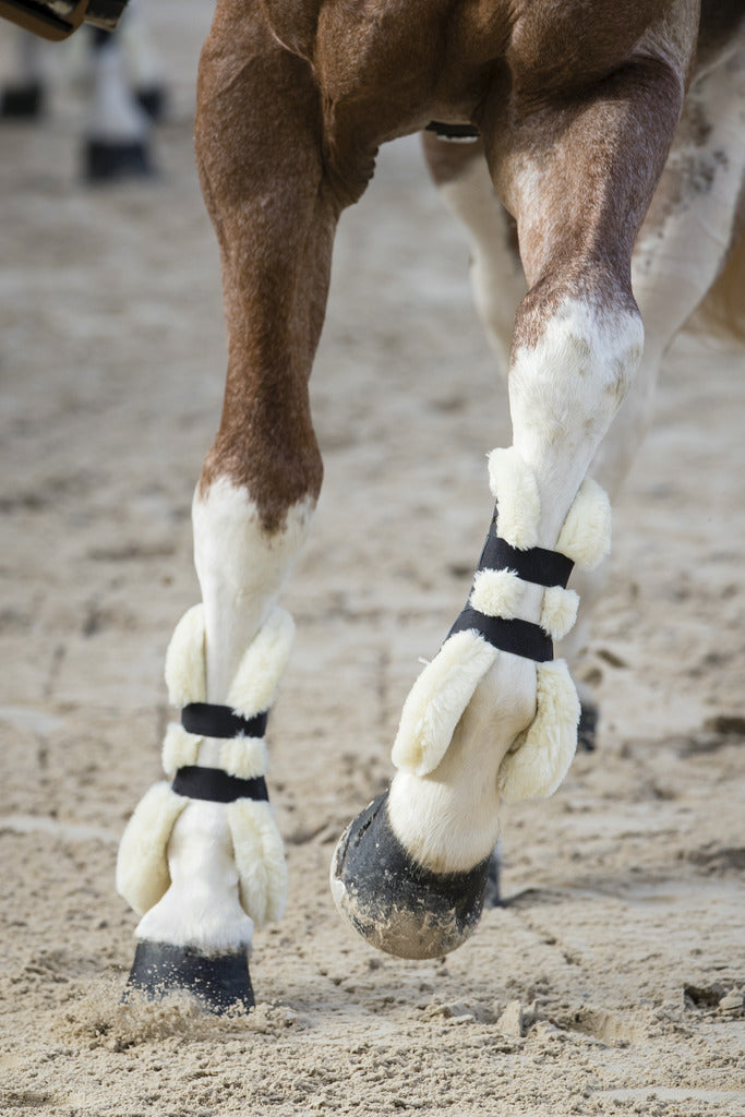 Norton XTR Button-Up Tendon Boots in Synthetic Sheepskin