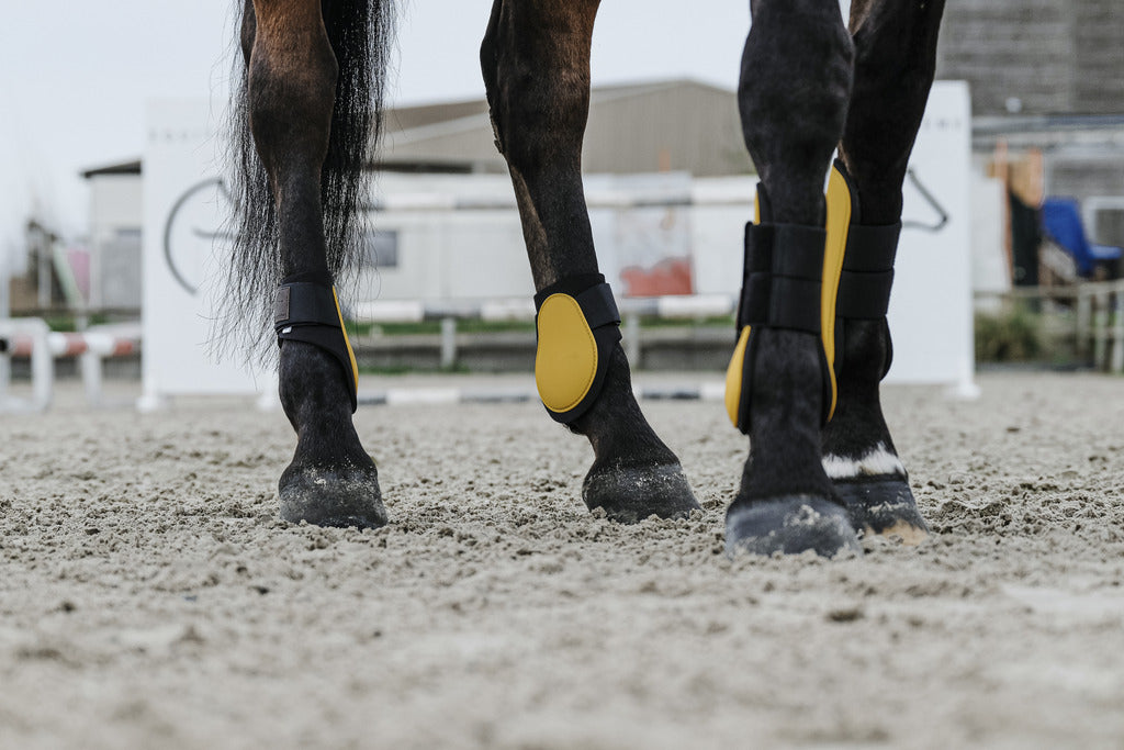 Equitheme Fetlock Boots