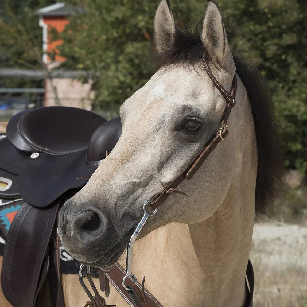 WESTRIDE – Bridle by Franck Perret – 1 Ear