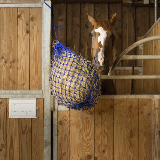 HIPPOTONIC Hay Net