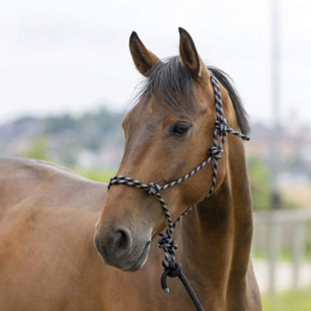 Eco Ethological Headcollar +Norton Lead Rope