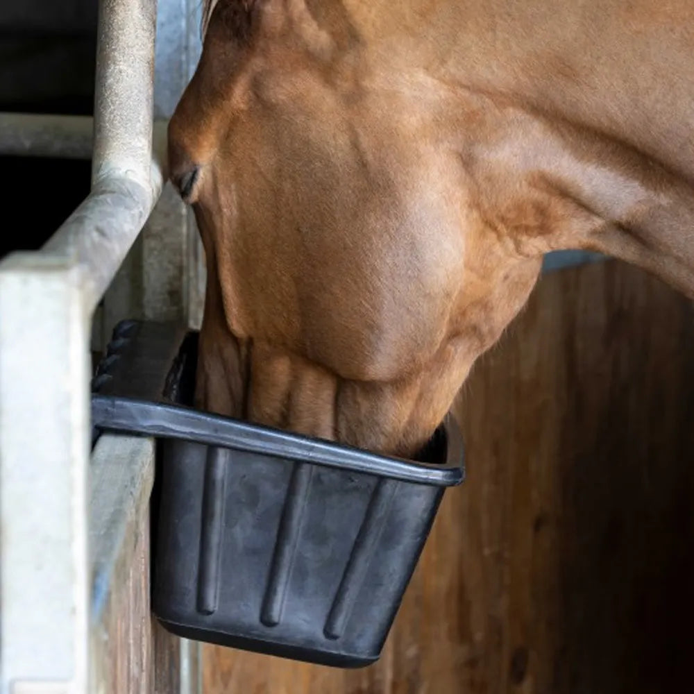 HIPPOTONIC Rubber Hang Feeder