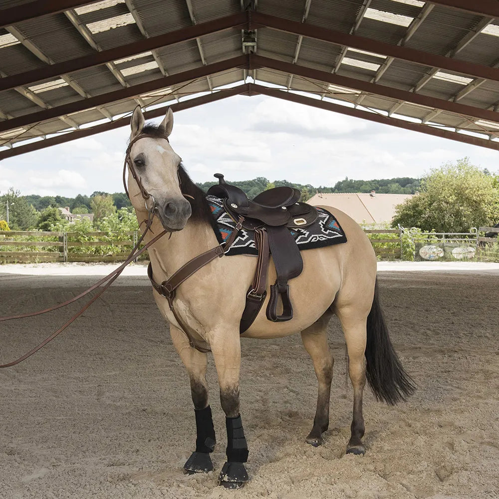 WESTRIDE – Saddle by Franck Perret – Arvada