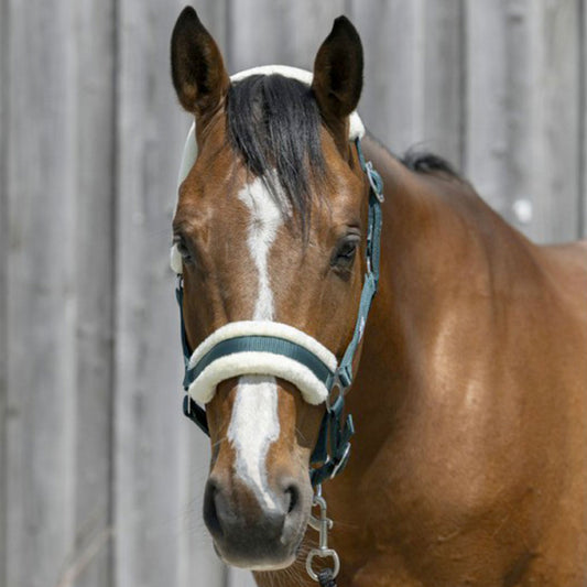 Riding World Headcollar, Synthetic Sheepskin