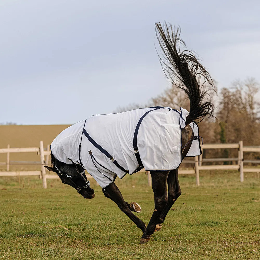 EQUITHÈME Mesh Combo Anti-Insect Sheet