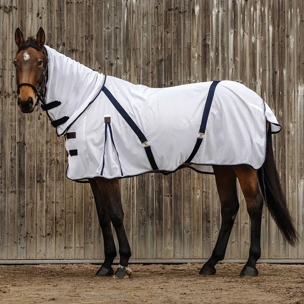 EQUITHÈME Mesh Combo Anti-Insect Sheet