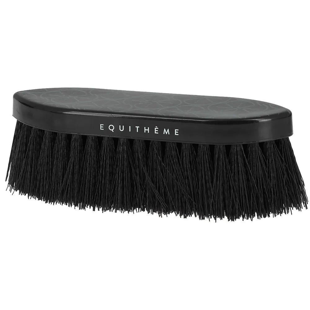 EQUITHÈME – Studies Dandy Brush
