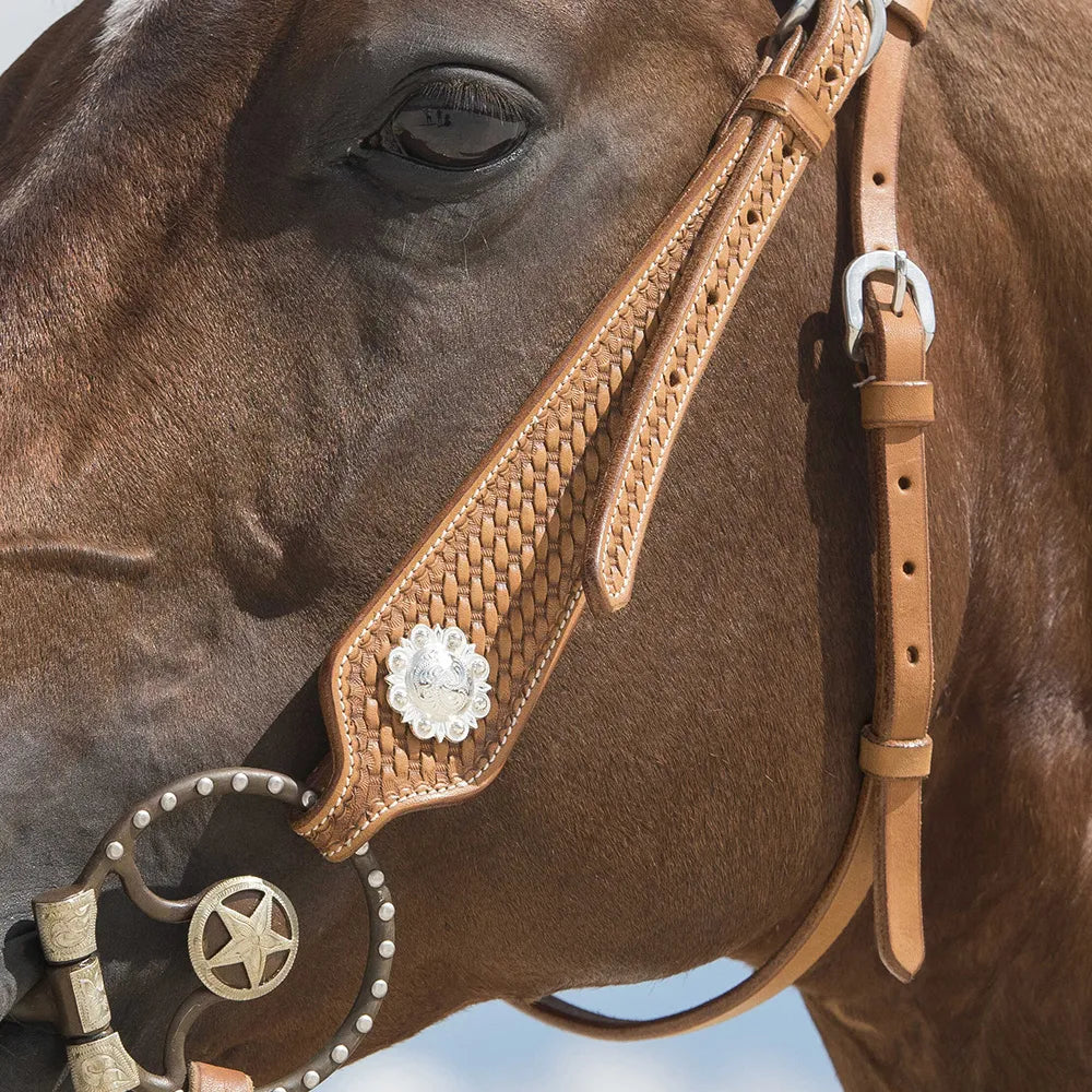 WESTRIDE – Bridle by Franck Perret – Aurora