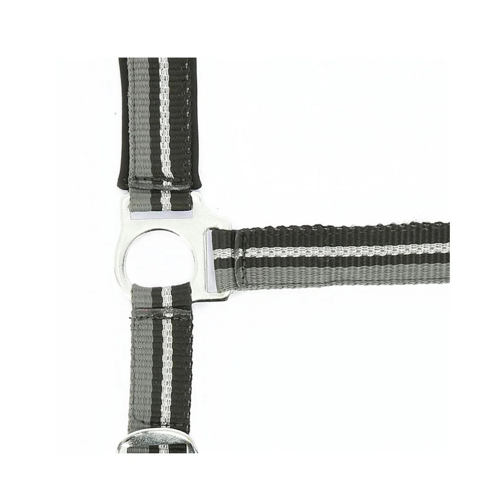 Norton Brillant Headcollar + Lead Rope