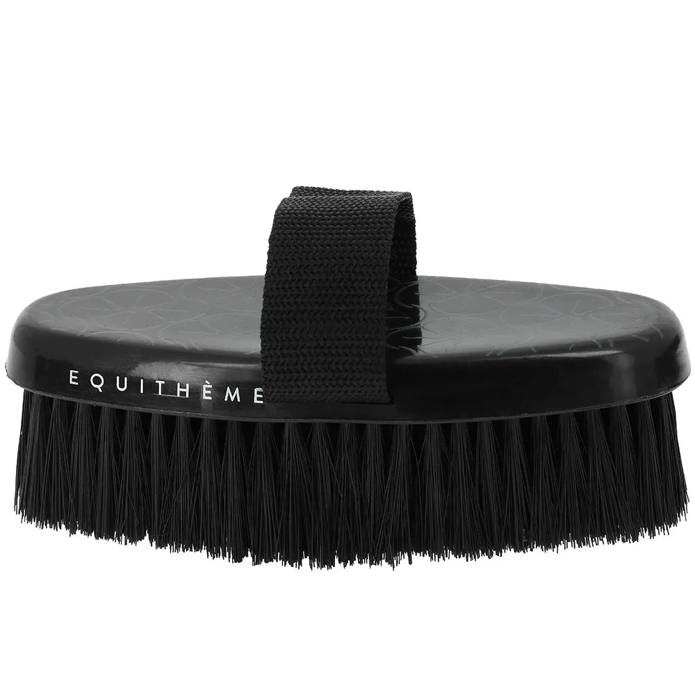 EQUITHÈME – Studies Body Brush