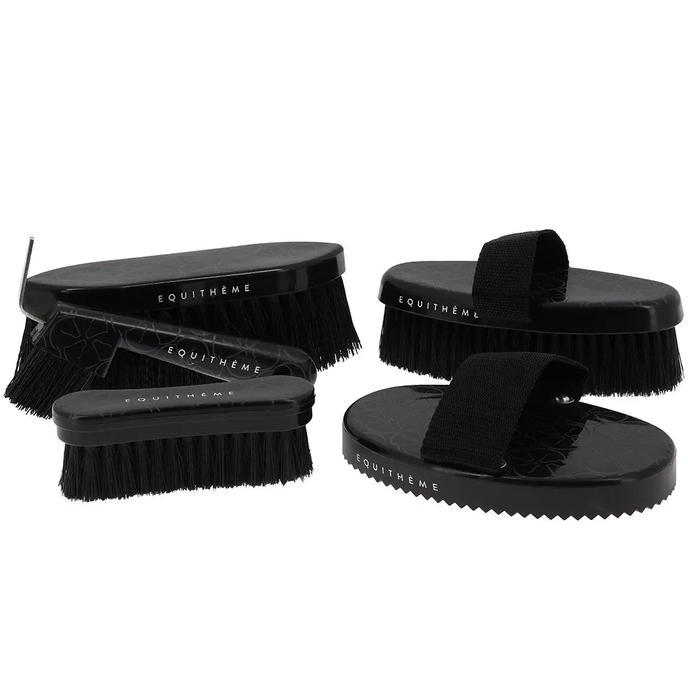 EQUITHÈME – Studies Curry Comb