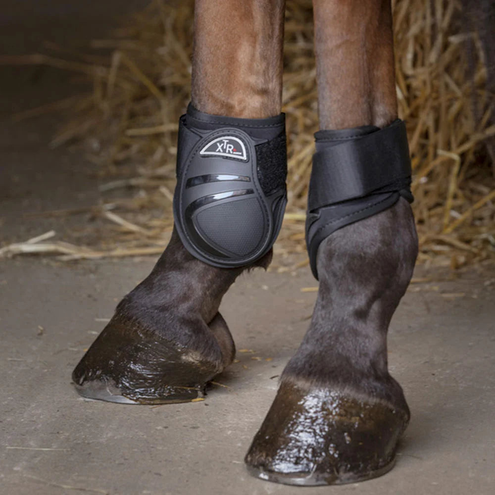 Norton XTR Fetlock Boots