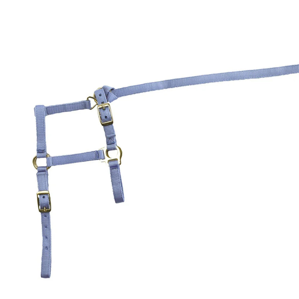 Norton Foal Headcollar + Lead Rope