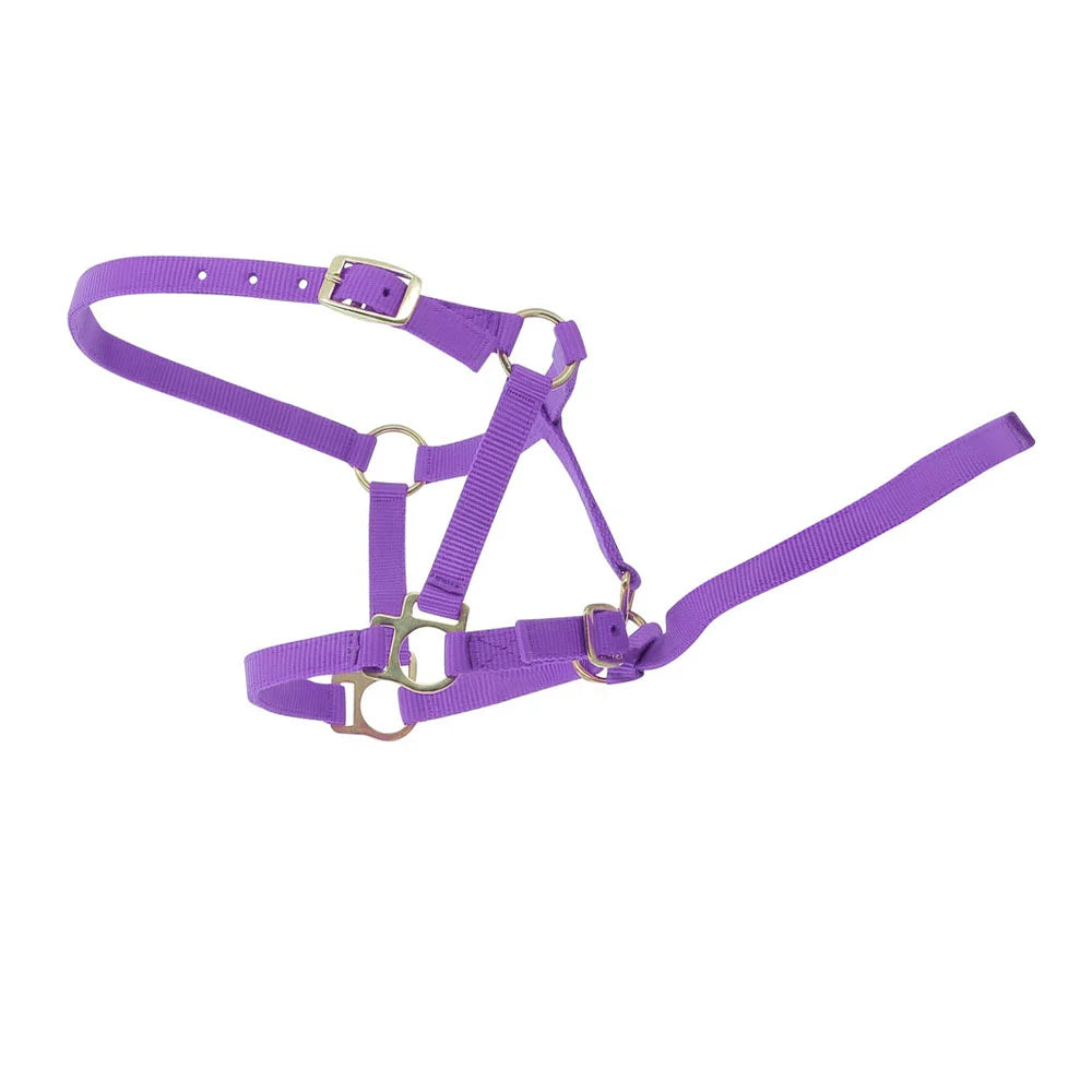 Norton Foal Headcollar + Lead Rope