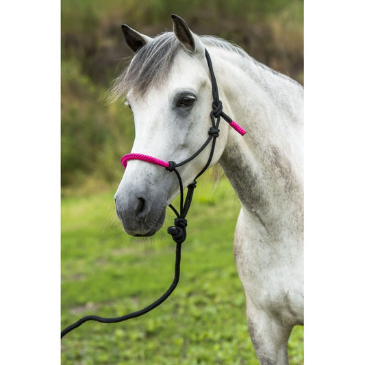 Norton Fun Colour Ethological Headcollar + Lead Rope