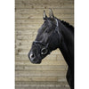 Norton Pro Fin Bridle