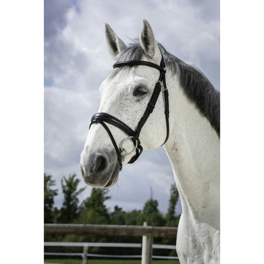 Norton Pro Soft Bridle