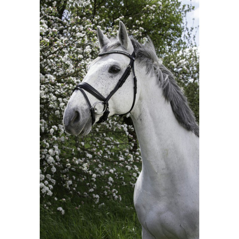 Norton Pro Strass Bridle